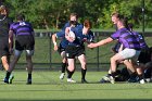 Men's Rugby vs Stonehill  Wheaton Men's Rugby vs Stonehill College. - Photo by Keith Nordstrom : Wheaton, Rugby, Stonehill